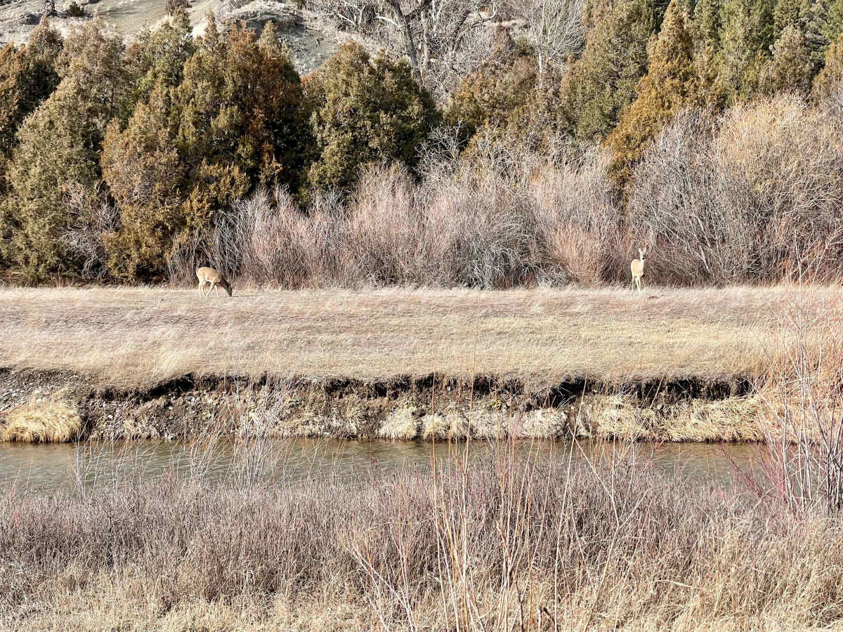 Sixteen Mile Creek Road photo 5