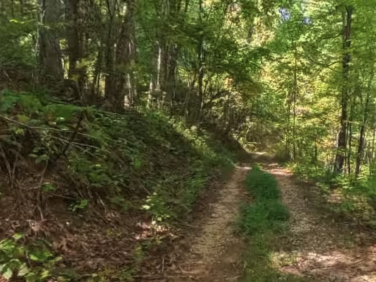 Chester Knob Lower Trail trail photo