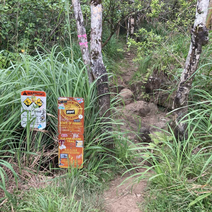 Sign at 2.8 miles. Cross the stream and take the trail on the right that goes up the hill. Near Moanalua Valley Trail