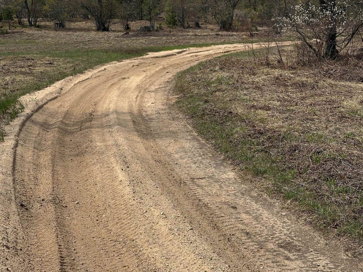 Deward Spur photo 2