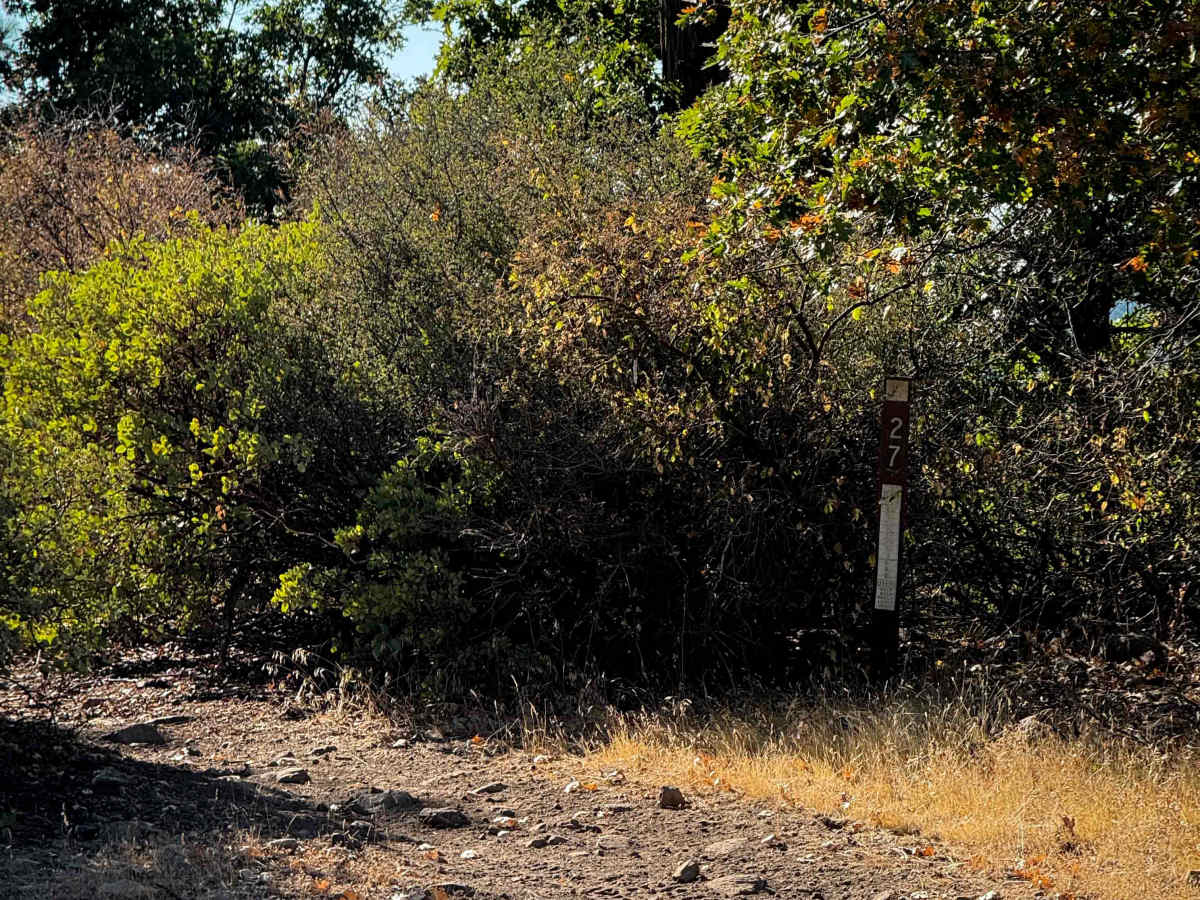 16EV247 photo 4