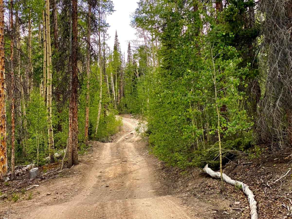Rat Creek Loop photo 3