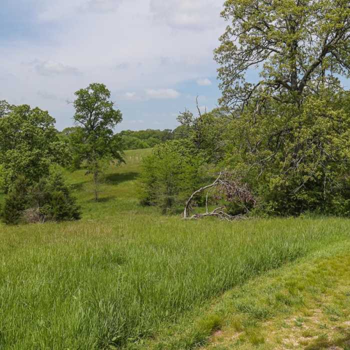 Near Lewis Family Memorial Conservation Area Trail
