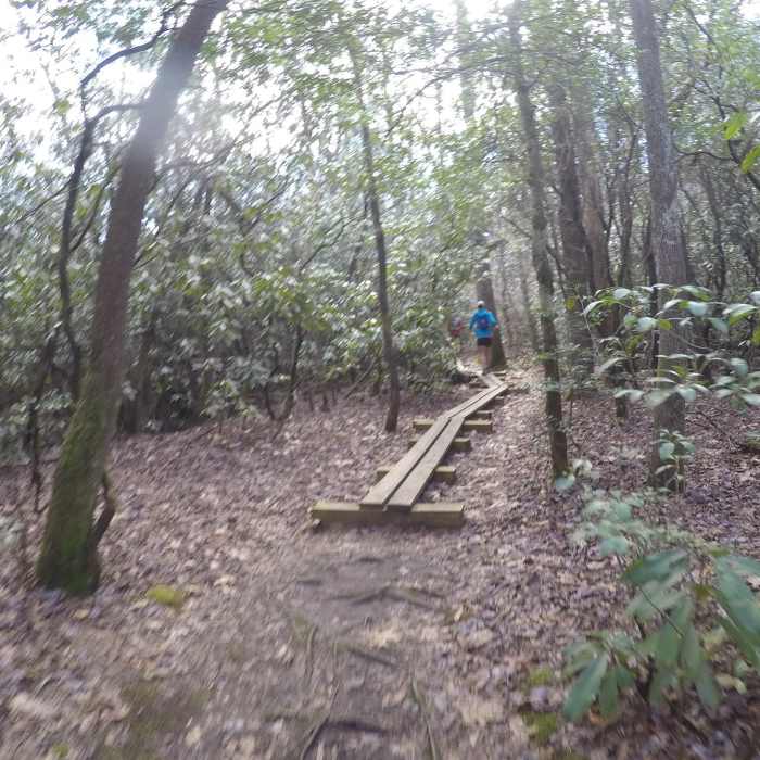 The Hike Inn Lodge Trail aids your passage through this muddy section with raised-plank boardwalks. Near Hike Inn Lodge Trail