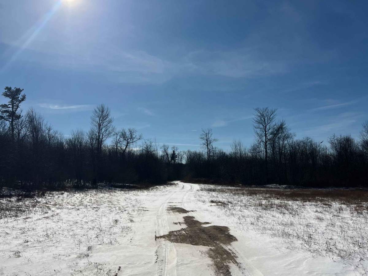 Shirk's Run Trail photo 3