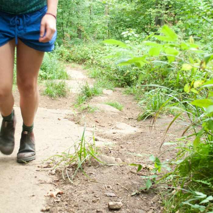 Near Mount Arab Hike Near Mount Arab Hike