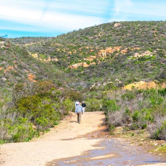 Near Cowles Mountain via Barker Way