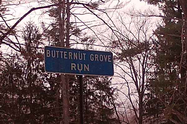 Butternut Grove Road