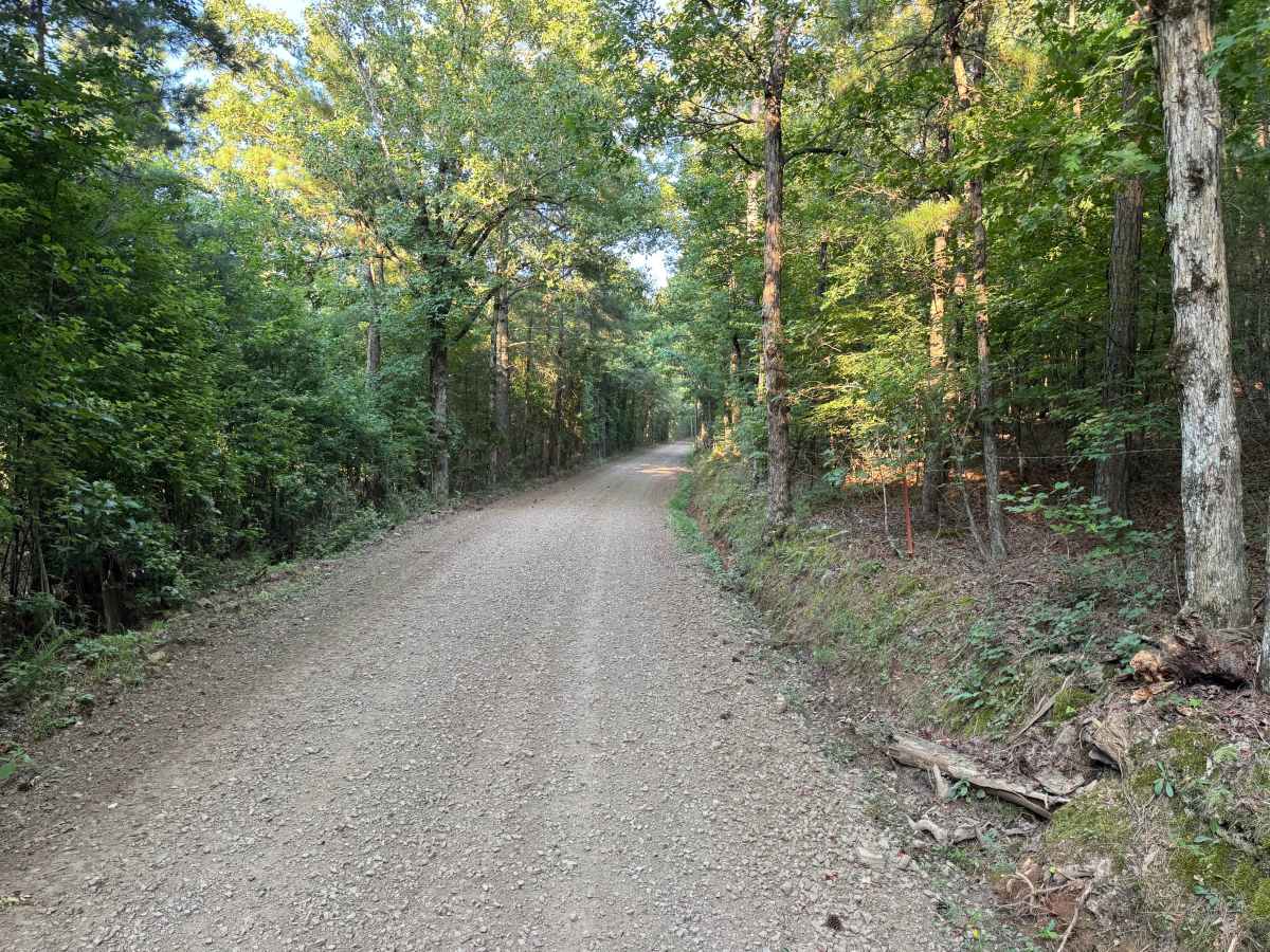 County Road 4320 photo 3