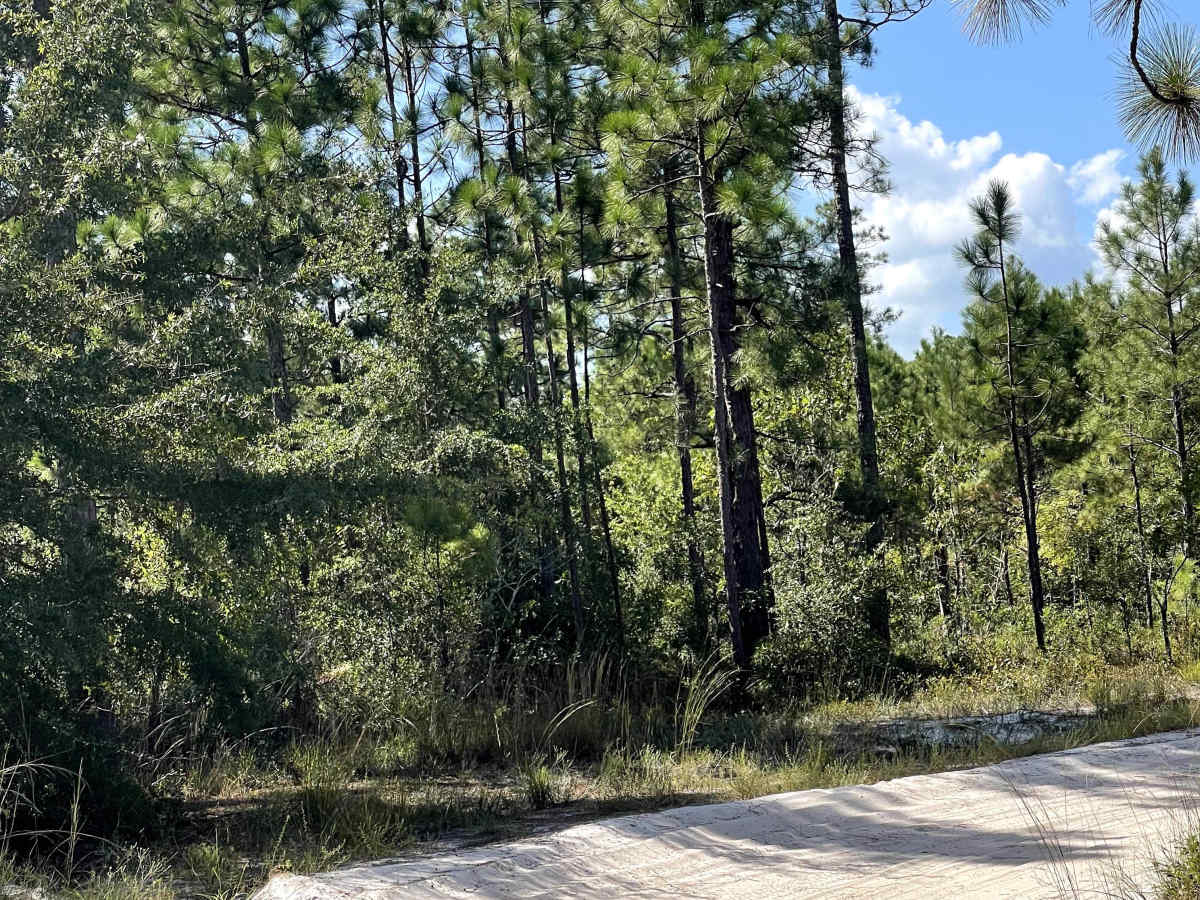 Goose Pond Road photo 4