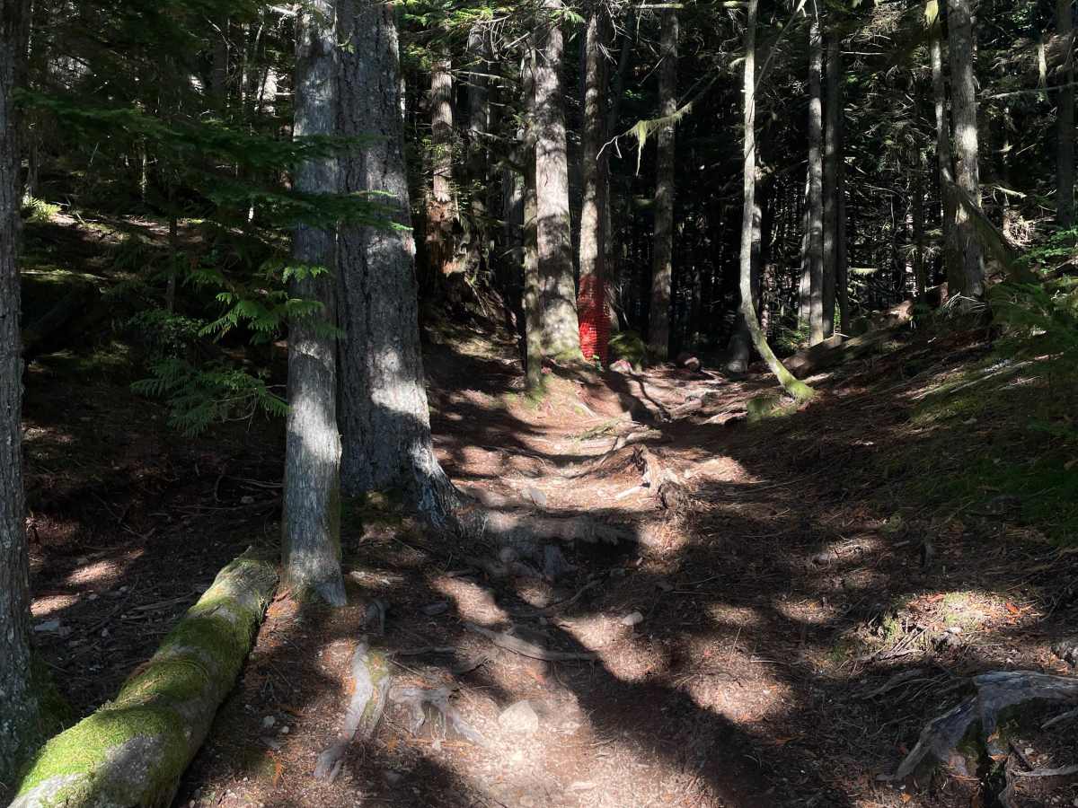 Climb and Connect photo 5