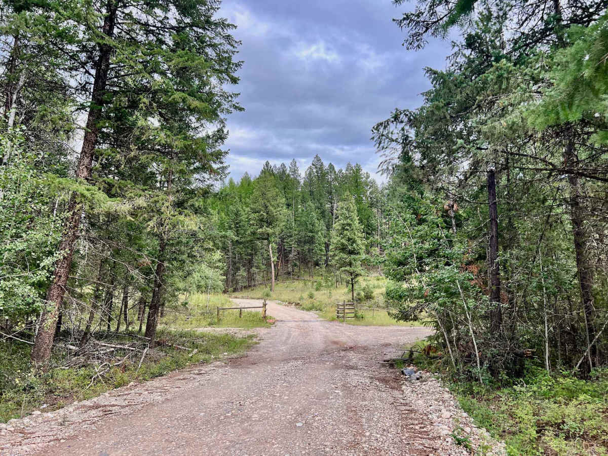 Suzanne Lake Road photo 2