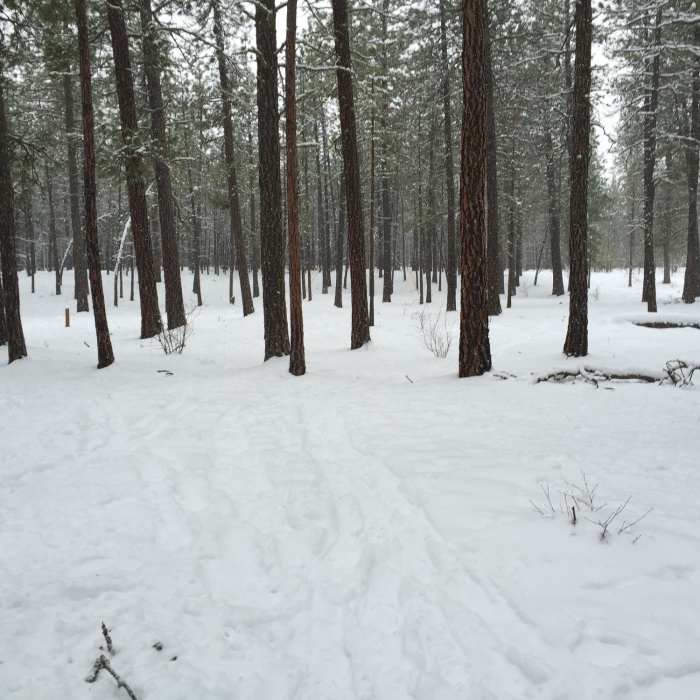 Near The Scenic Hills of Riverside