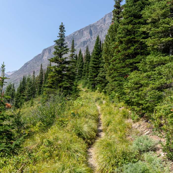 Near Medicine Grizzly Trail
