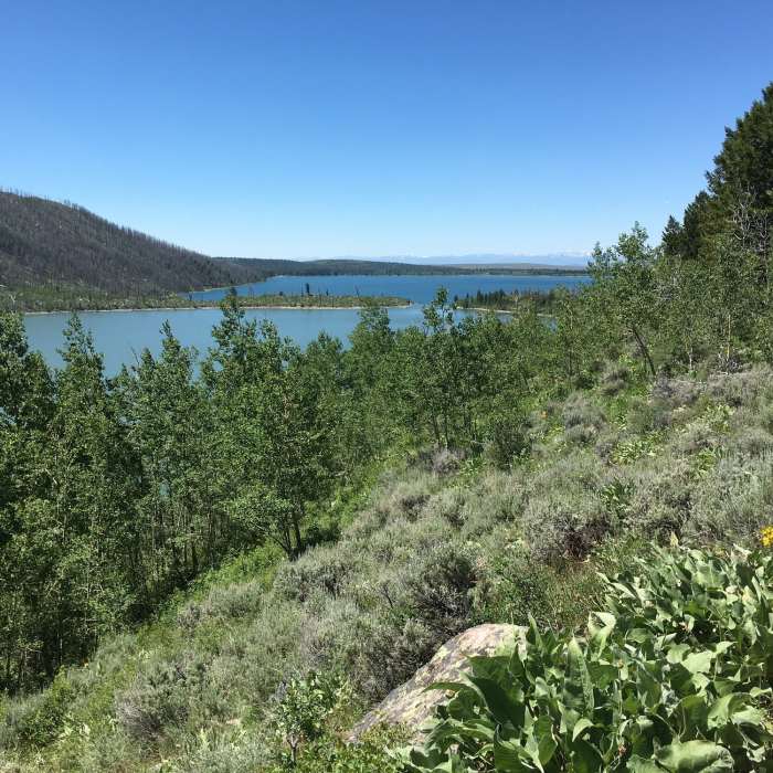 Looking out to the south to flats. Flat easy hiking here. Near New Fork-Porcupine Trail #137