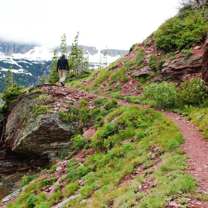 Near Triple Divide Pass Out-and-Back