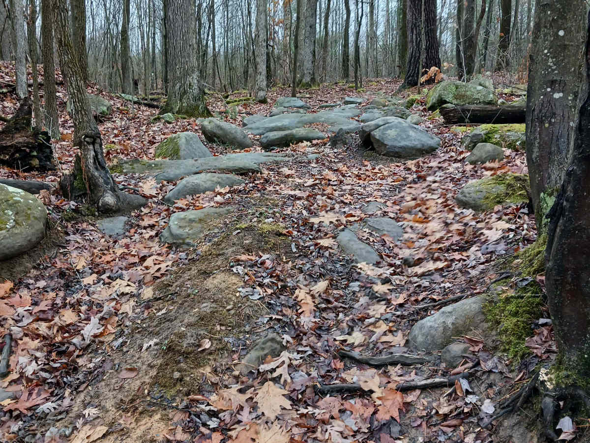 OHV 24 - Rock Run Recreation Area trail photo