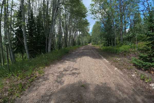 County Road 216