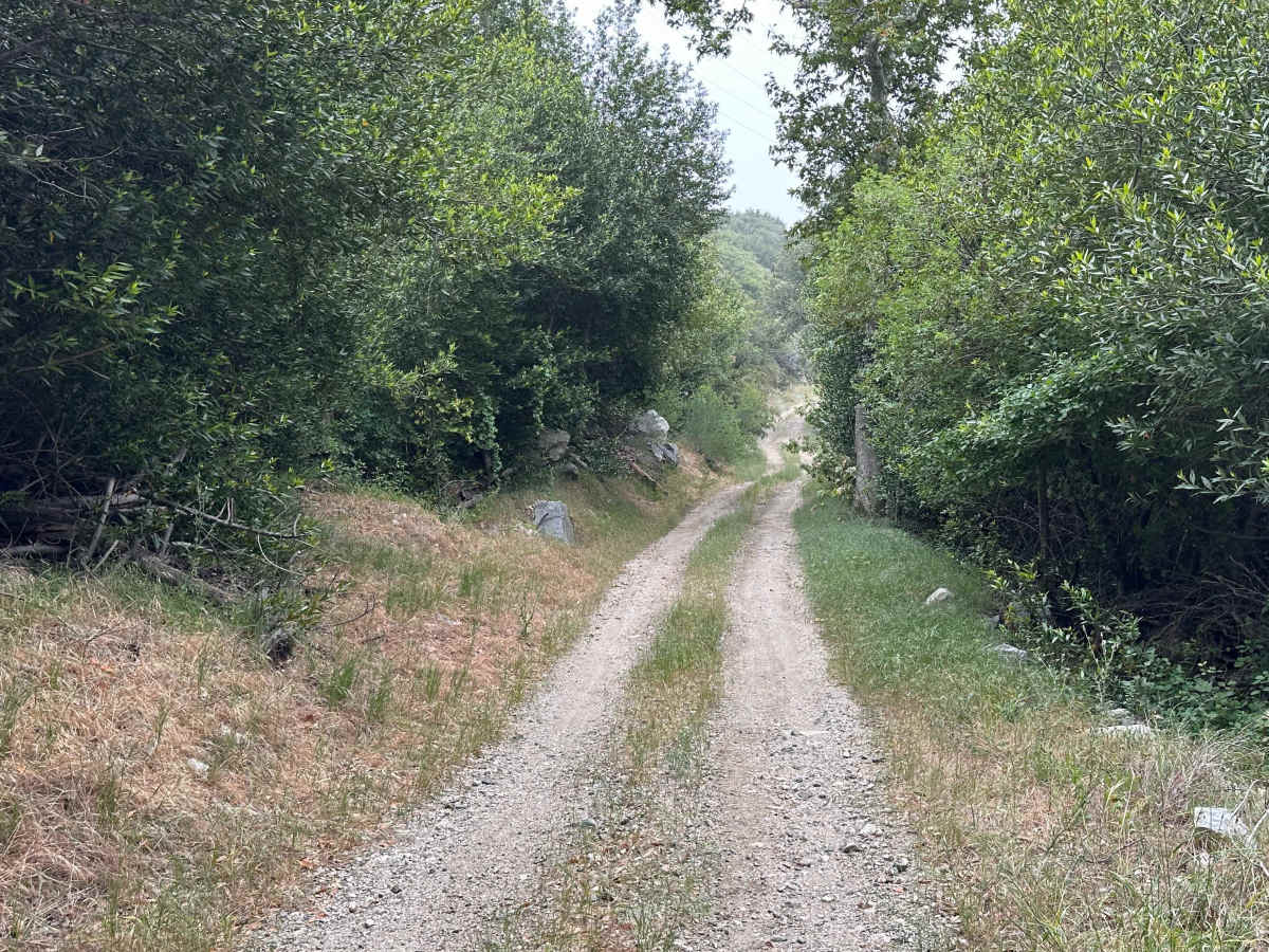 Split Rock Trek photo 6