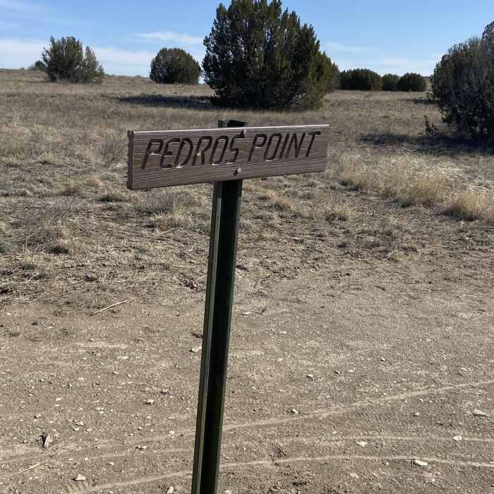 Near Pedro's Point Trail