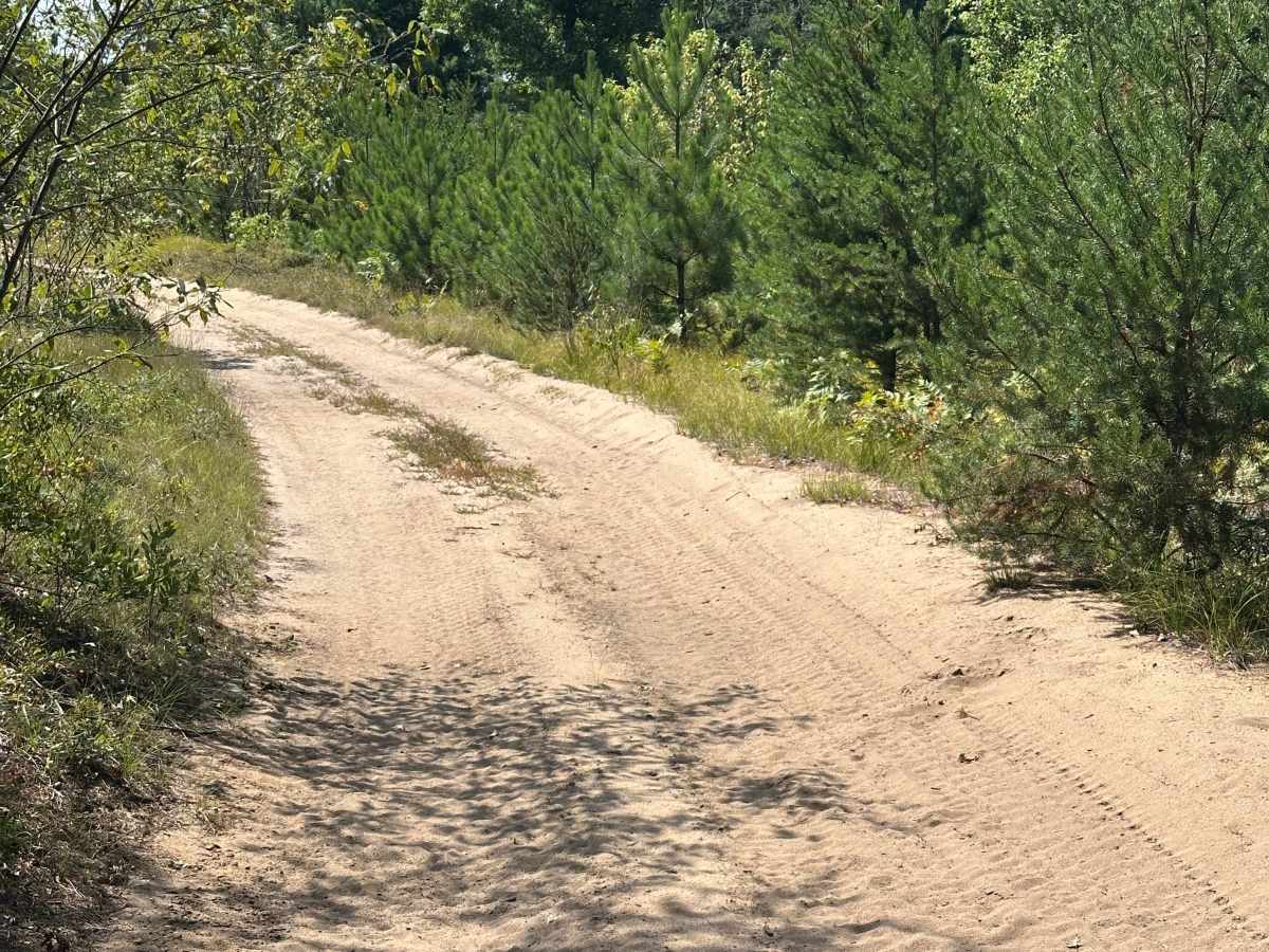 Muskrat Trail photo 4