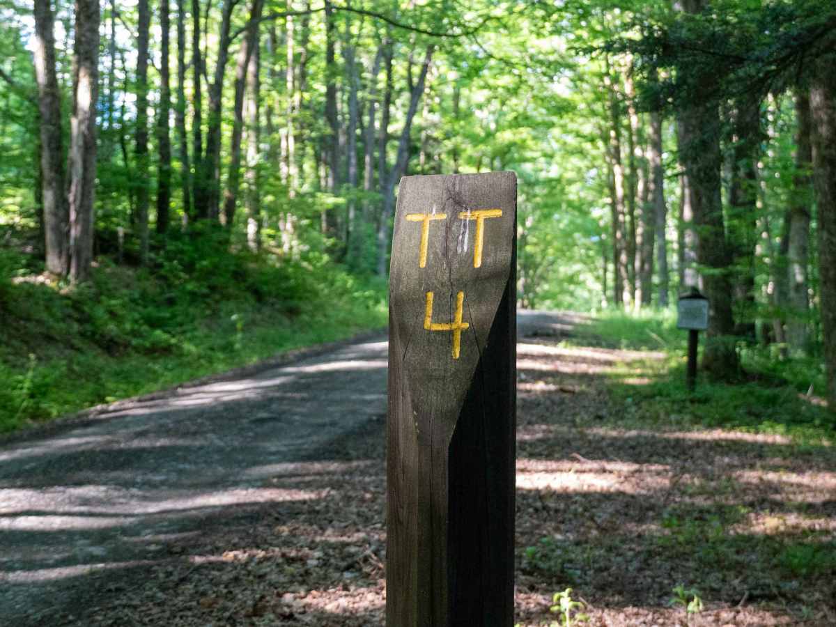 Truck Trail 4 photo 2