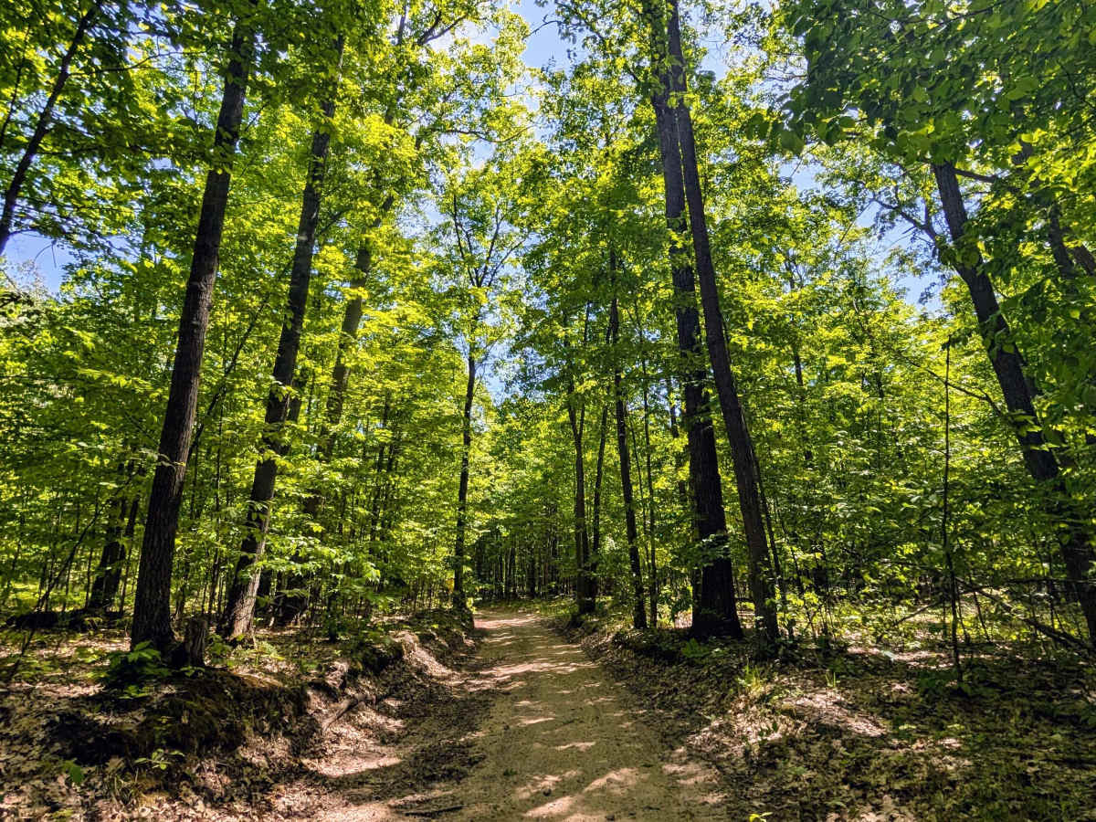 North Misaukee Route (section 6) photo 4