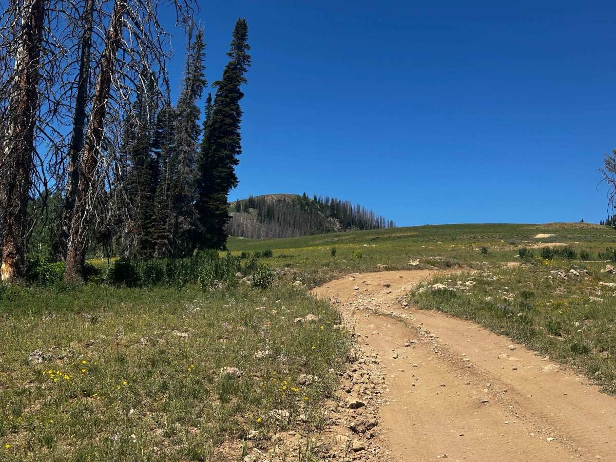 Hoyt Saddle Trail photo 2