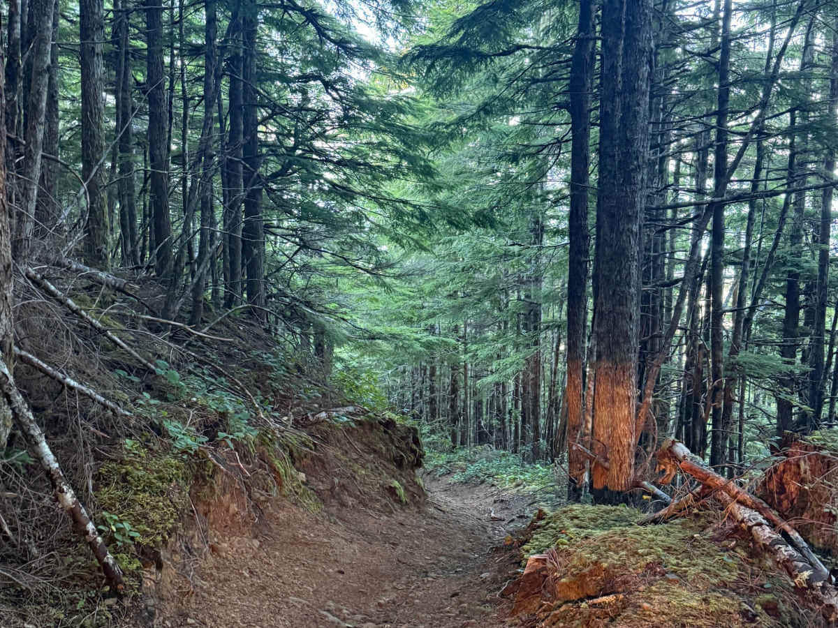 The switchbacks photo 3