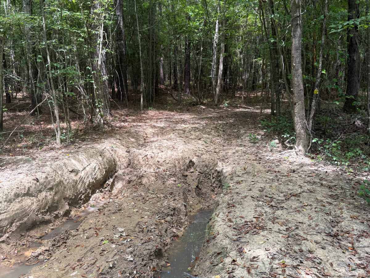 401C Mud photo 5