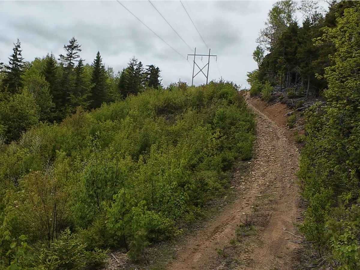 Prosser Brook Powerline Trail  photo 6