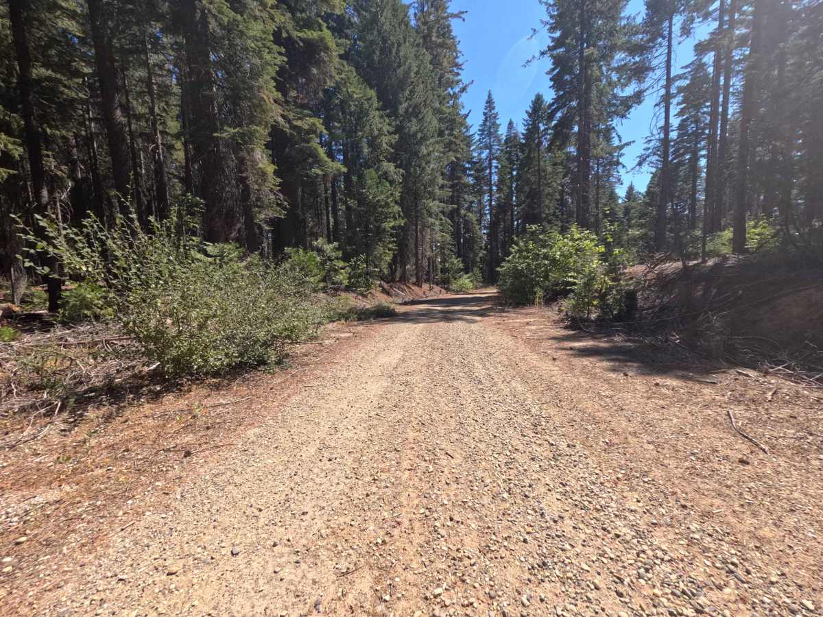 Upper French Creek - FS 21N56 trail photo