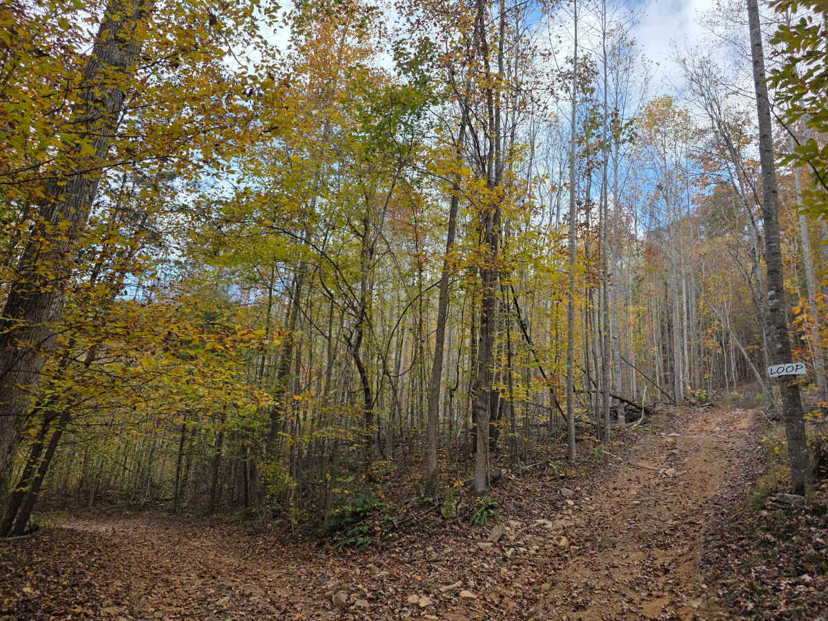 High Point Access photo 6