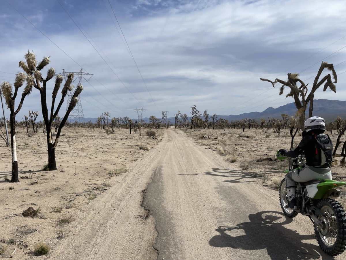Ivanpah Valley High Voltage Line photo 6