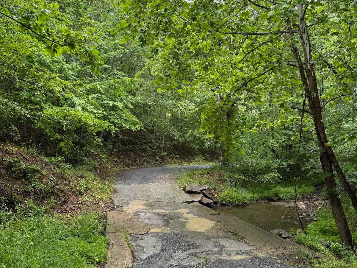 Gilmore Hollow photo 4