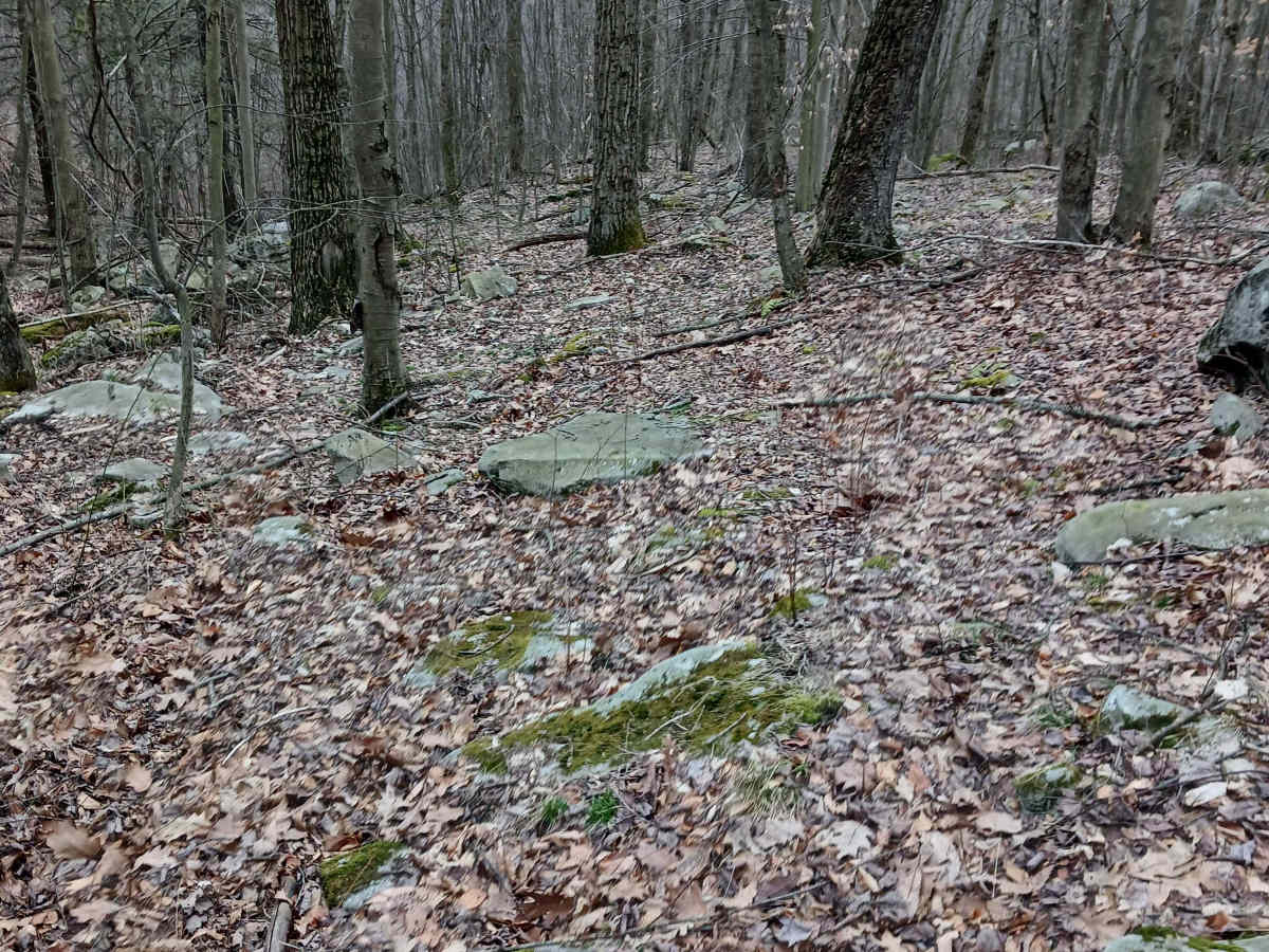 OHV 55 - Rock Run Recreation Area photo 5