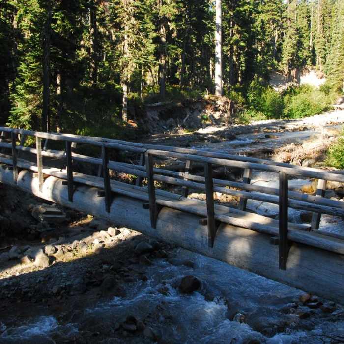 Near Gnarl Ridge Hike