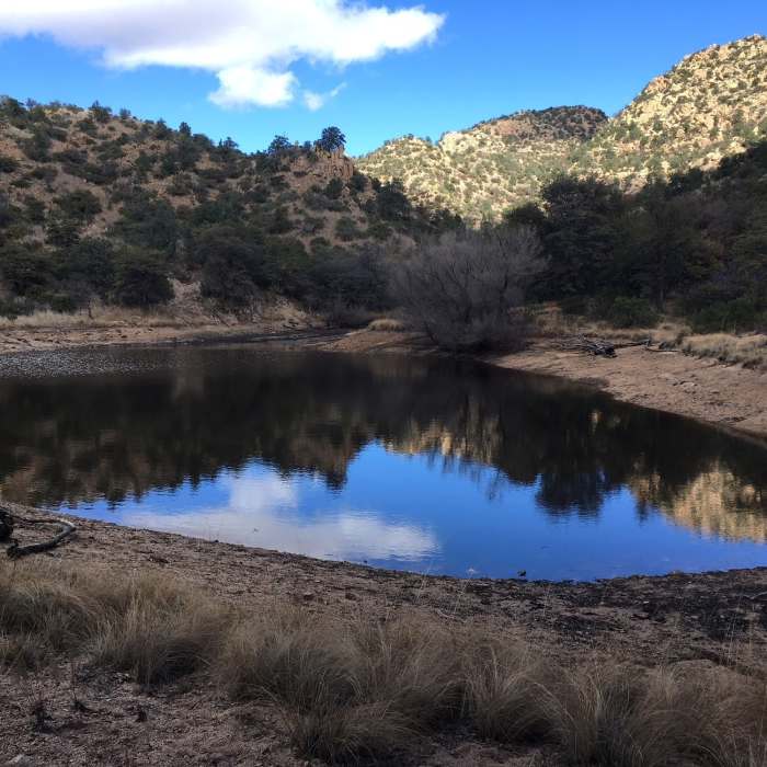 Near Middlemarch Canyon Trail #277