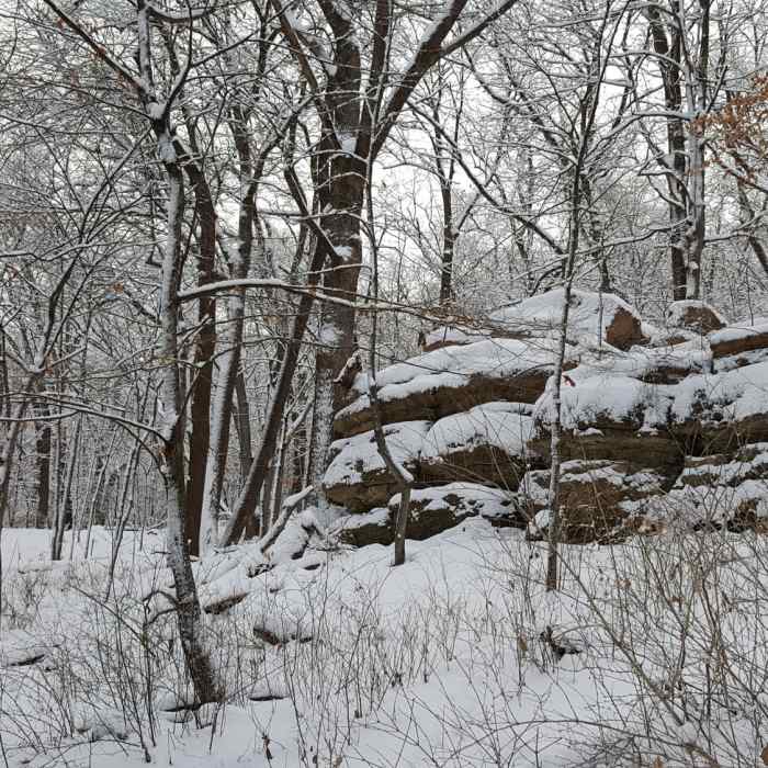 Near Rasmussen Woods Loop