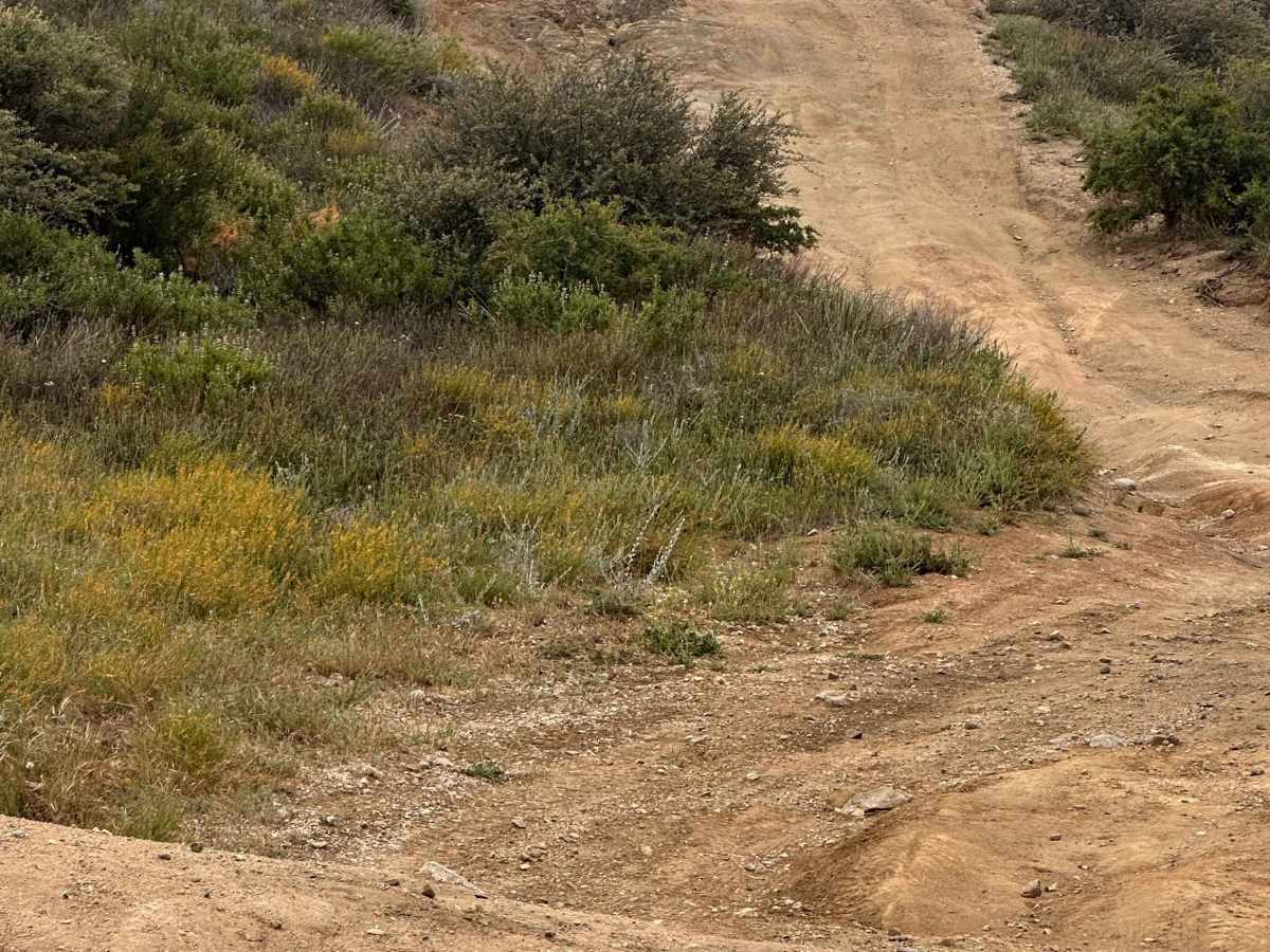 Tumbleweed Run photo 5