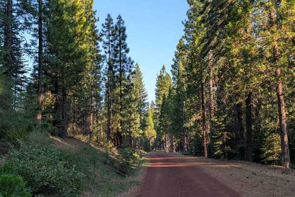 Porcupine Butte North - FS 41N36