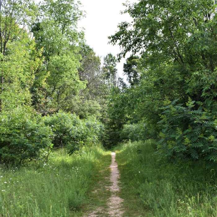 Seidman Park" courtesy of Kent County Parks Department. Near Seidman Park Outside Loop