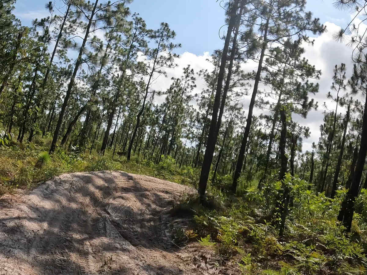 FS 13 photo 2