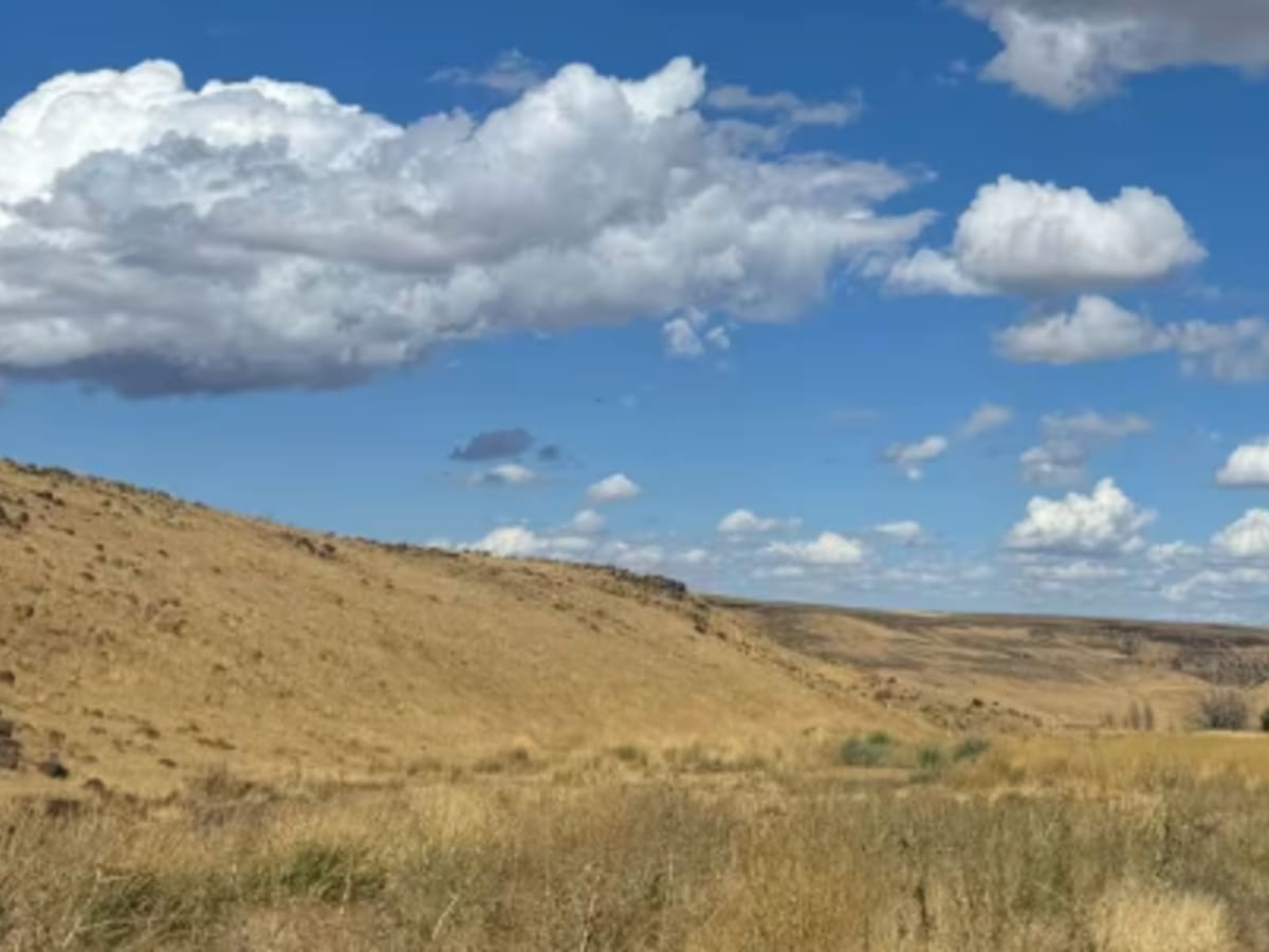 Road 19 photo 5