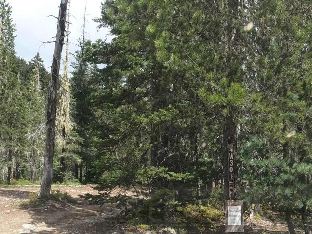 Fortune Creek 4WD Trail - NF301 - Lower Section photo 2
