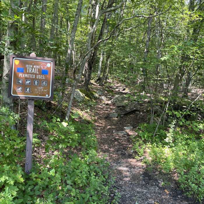 Near Iron Mine Trail Near Iron Mine Trail