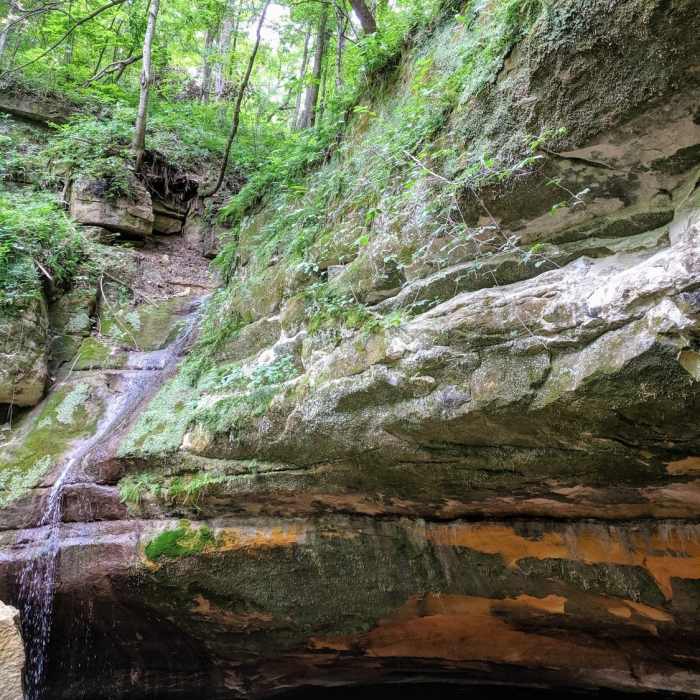 Near Sand Cave Trail