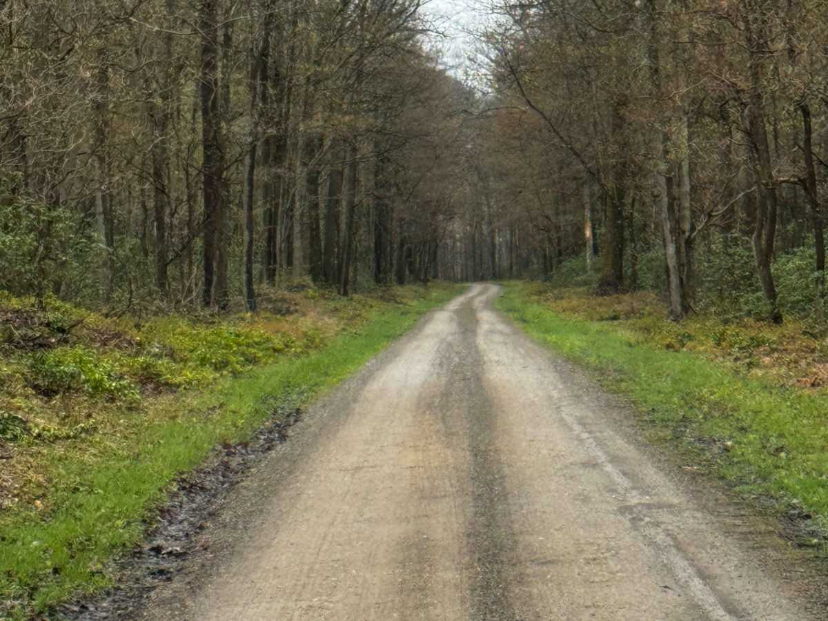 Kelly Cellar Road photo 5