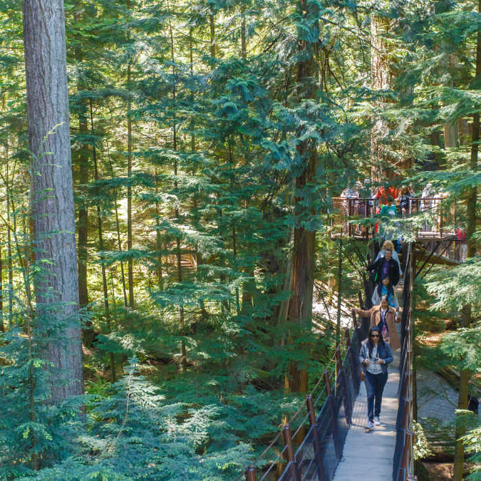 Near Capilano Canyon from Cleveland Dam