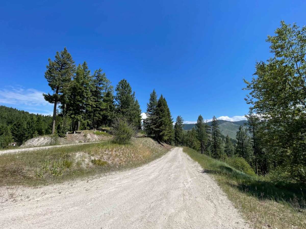 Crazy Creek Warm Springs photo 2